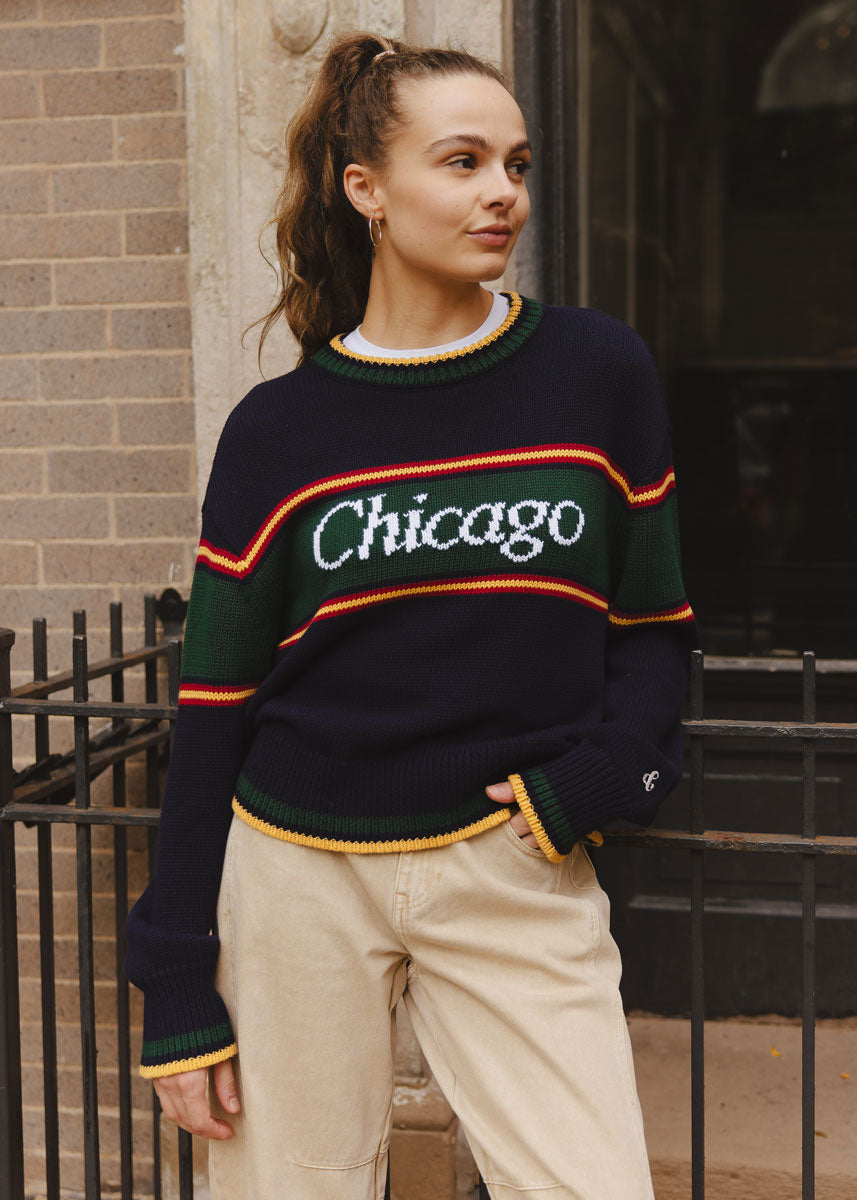 Chicago Striped Sweater - Navy Multi – Alice & Wonder