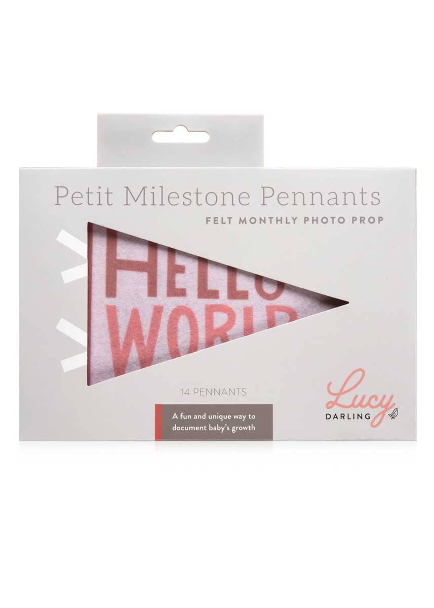 Petit Milestone Pennants - Blushing Meadow
