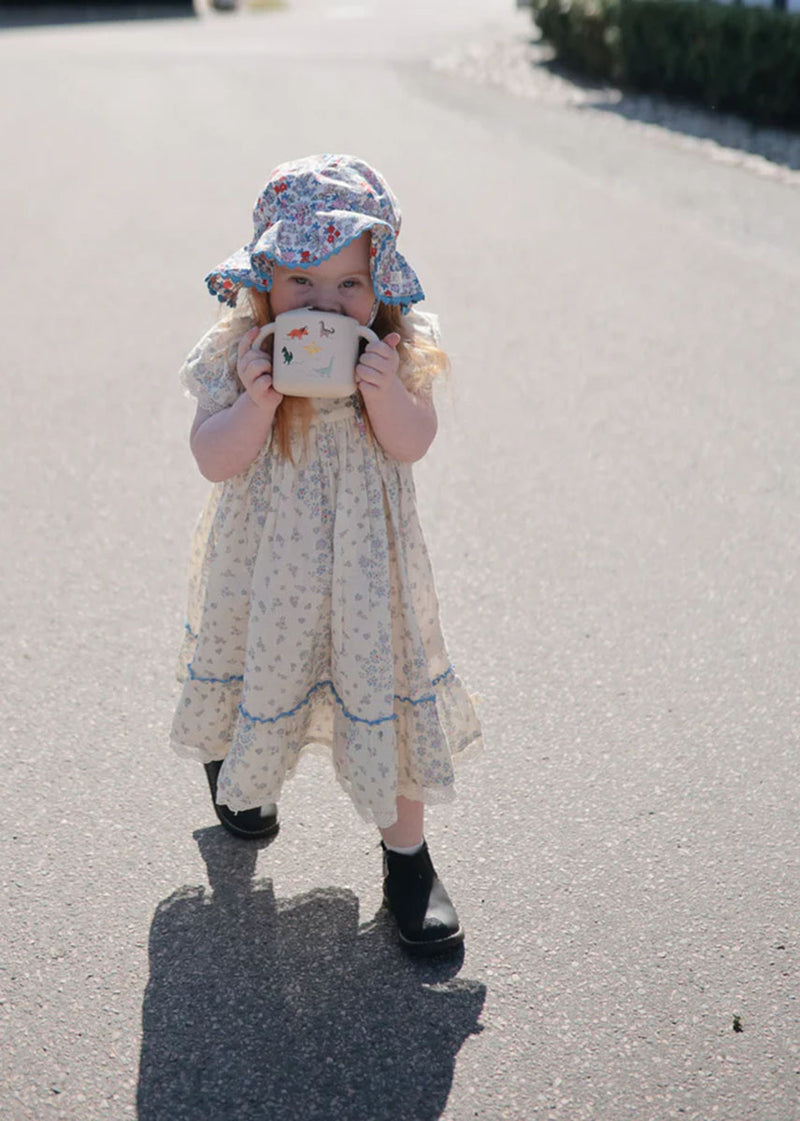 Snack Cup - Dinosaurs