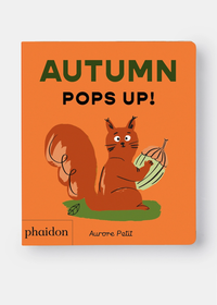 Autumn Pops Up Book