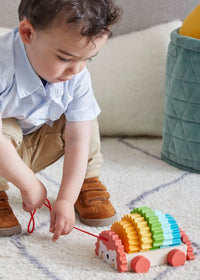 Rainbow Hedgehog Wooden Pull Toy