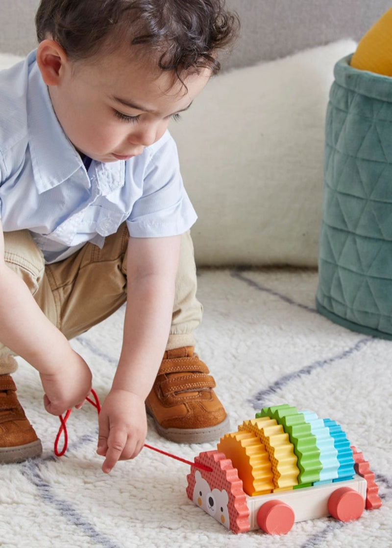 Rainbow Hedgehog Wooden Pull Toy