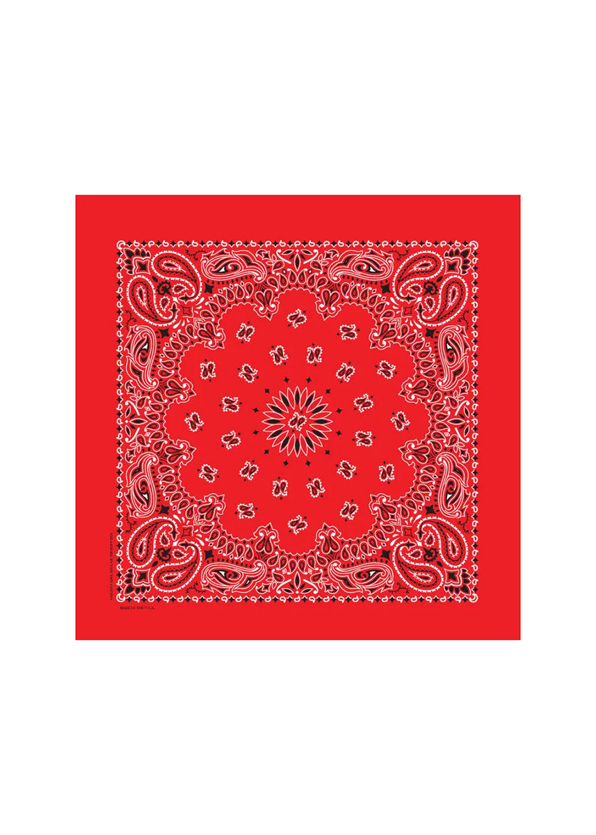 Embroidered Bandana - Red Paisley