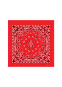 Embroidered Bandana - Red Paisley