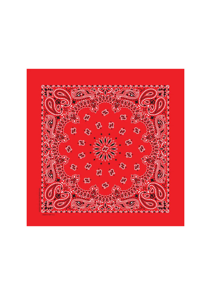 Embroidered Bandana - Red Paisley