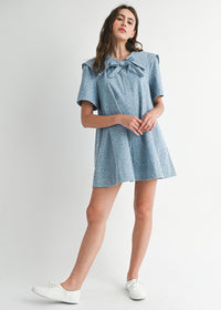 Francine Leopard Denim Collared Mini Dress