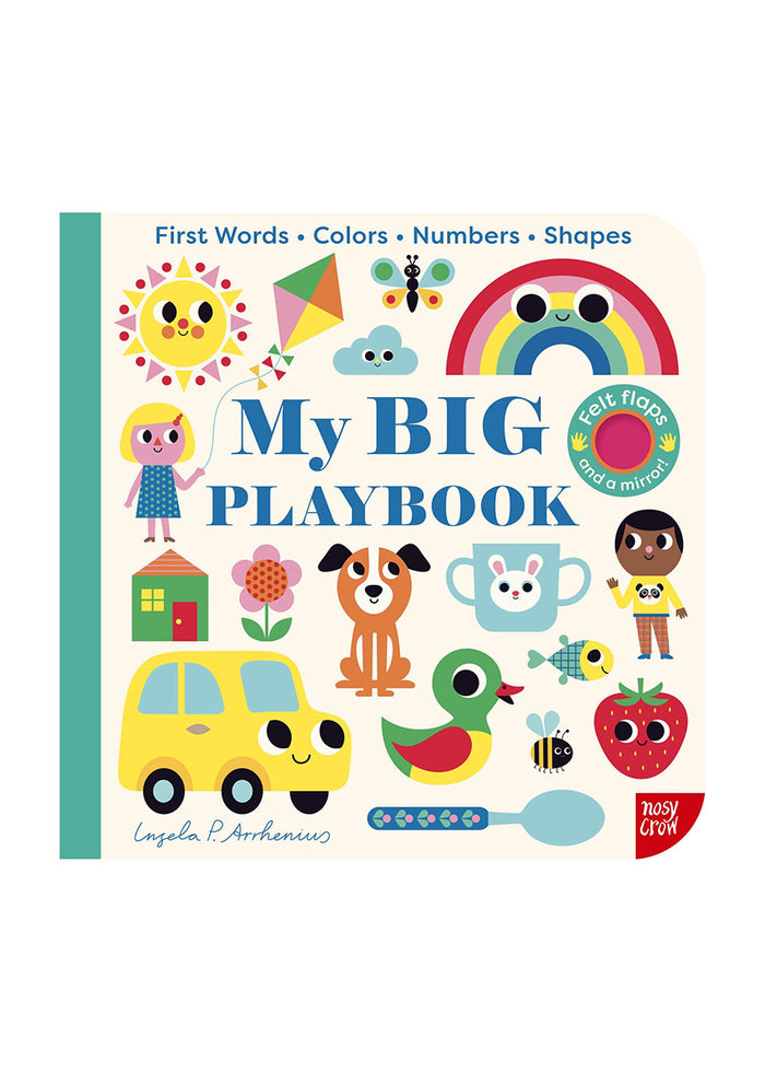 My BIG Playbook Book