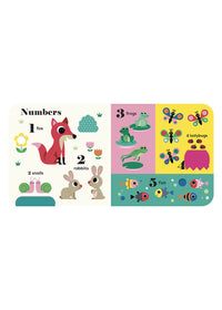 My BIG Playbook Book