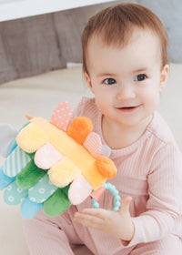 Hedgie Snuggly Sensory & Learning Toy