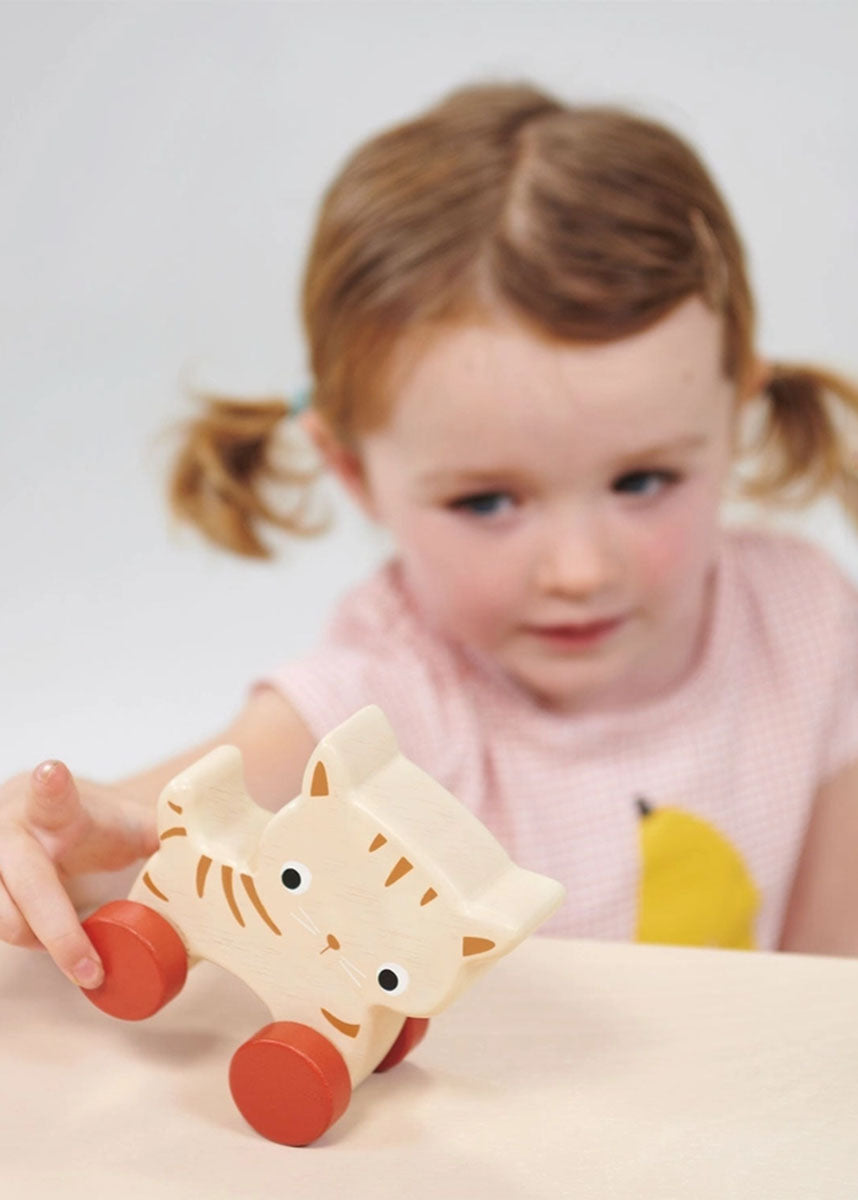 Kitten On Wheels Wooden Toy