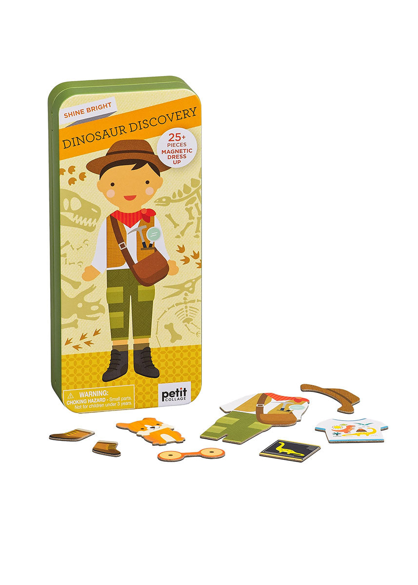 Dinosaur Discovery Magnetic Play Set
