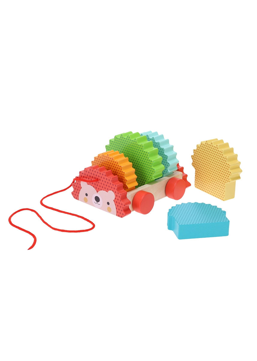 Rainbow Hedgehog Wooden Pull Toy