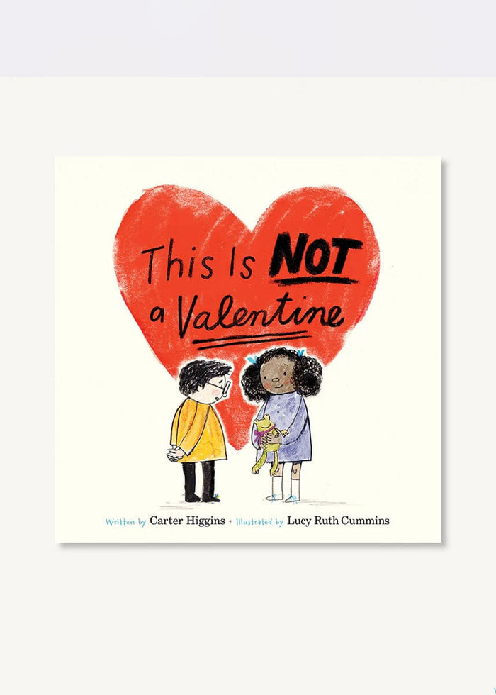 This Is Not A Valentine Book