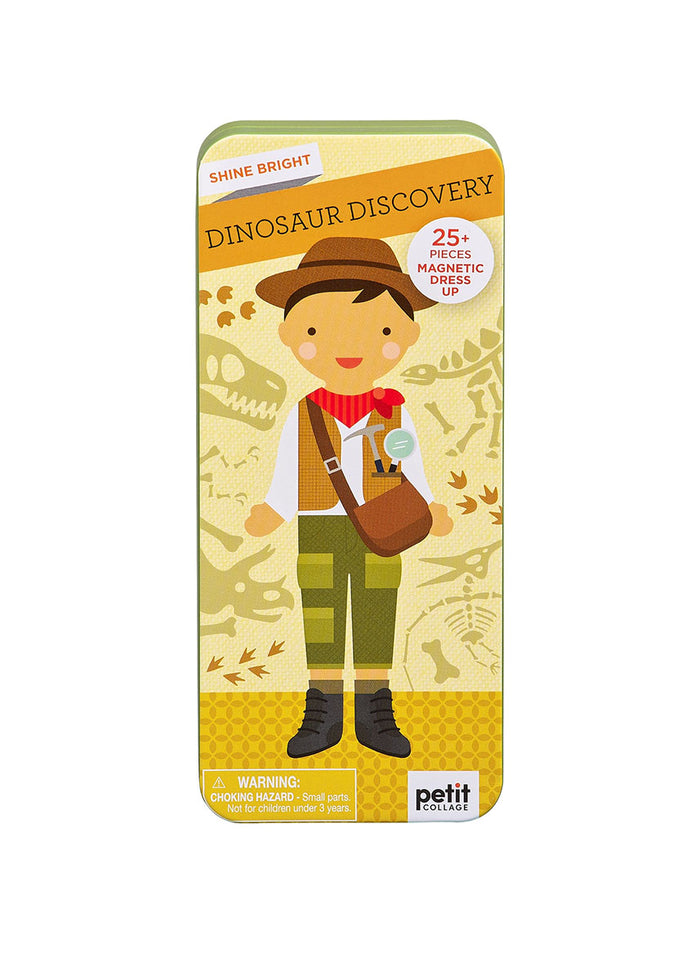 Dinosaur Discovery Magnetic Play Set