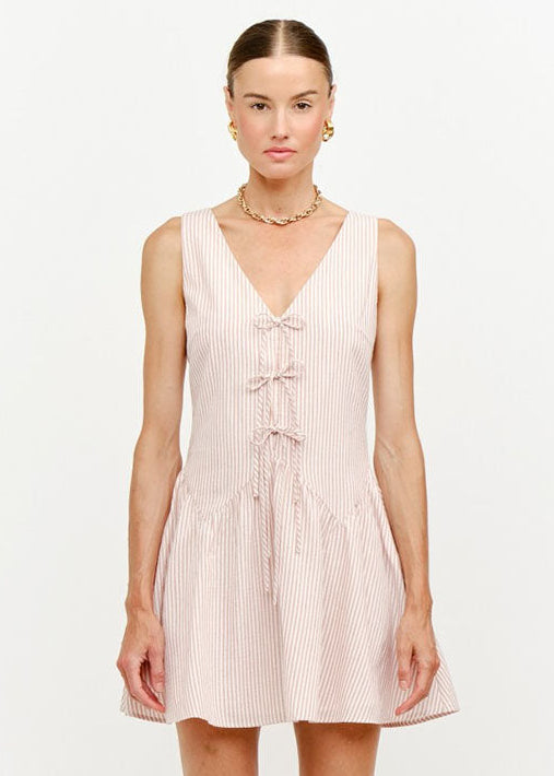 Eden Stripe Mini Dress - Blush