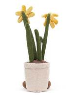 Amuseable Daffodil Pot