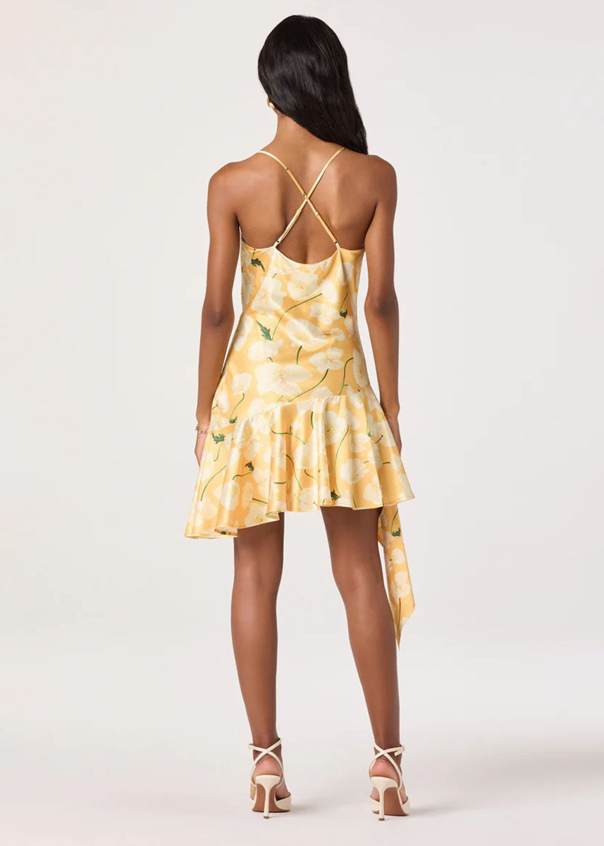 Paloma Mini Dress - Tangerine Floral