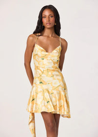 Paloma Mini Dress - Tangerine Floral