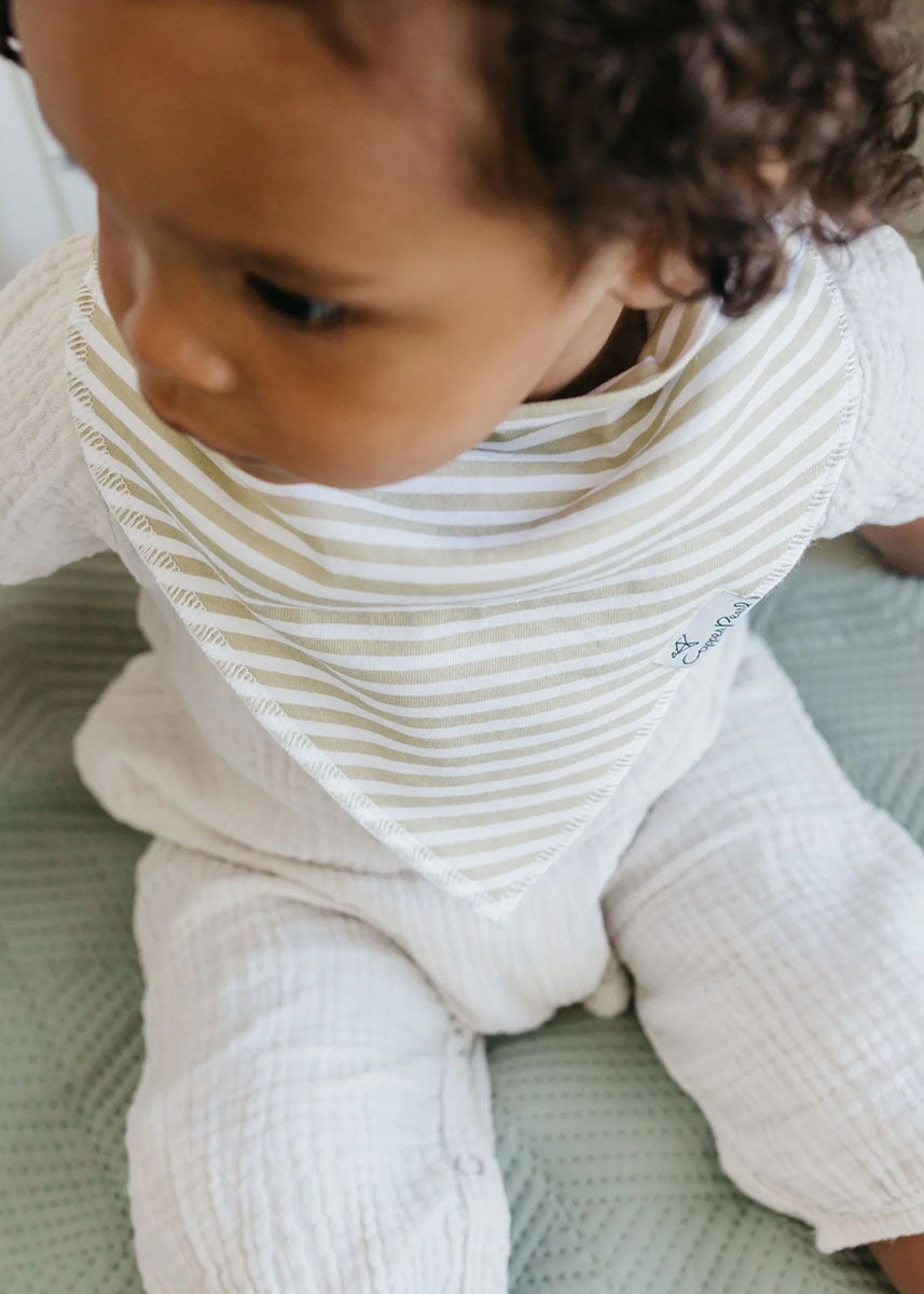 Rex Bandana Bib Set - 4-Pack