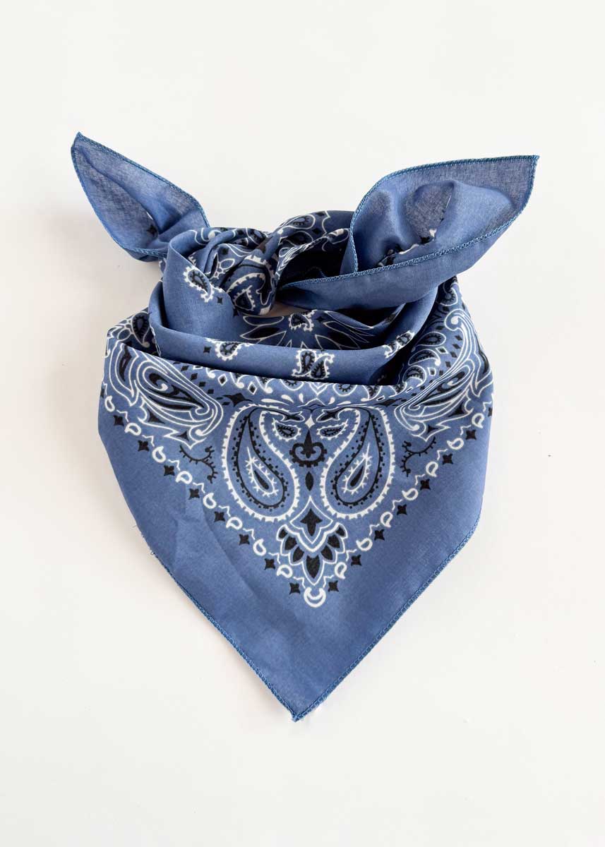 Embroidered Bandana - Chambray Paisley