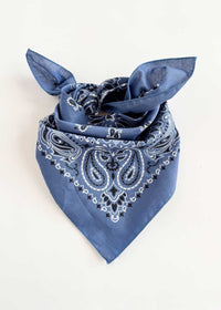 Embroidered Bandana - Chambray Paisley