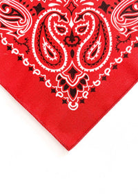 Embroidered Bandana - Terracotta Paisley