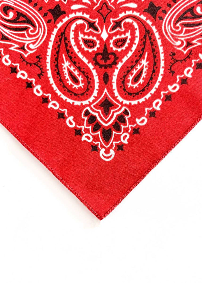 Embroidered Bandana - Terracotta Paisley