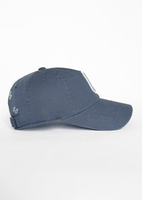 Youth C Is For Chicago Dad Hat - Blue