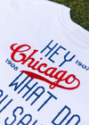 Hey Chicago Oversized Tee