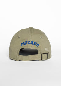 Toddler C Is For Chicago Dad Hat - Deep Sage