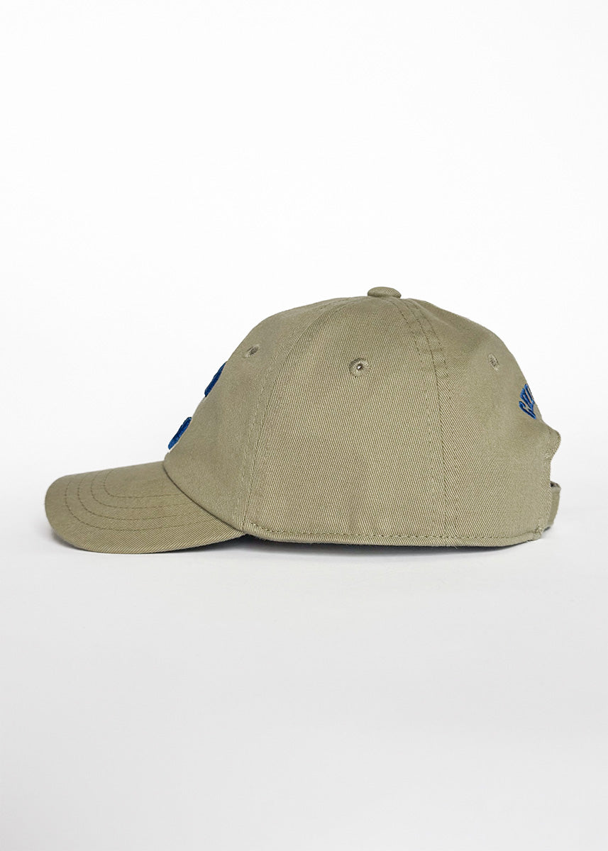 Toddler C Is For Chicago Dad Hat - Deep Sage