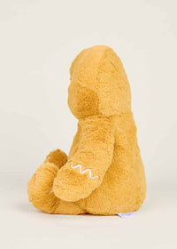 Gingerbread Boy Warmies