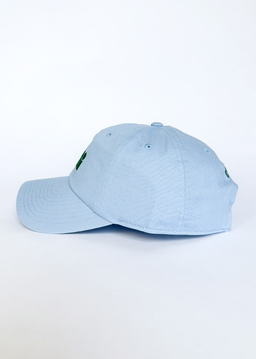 Chi Dad Hat - Blue & Green