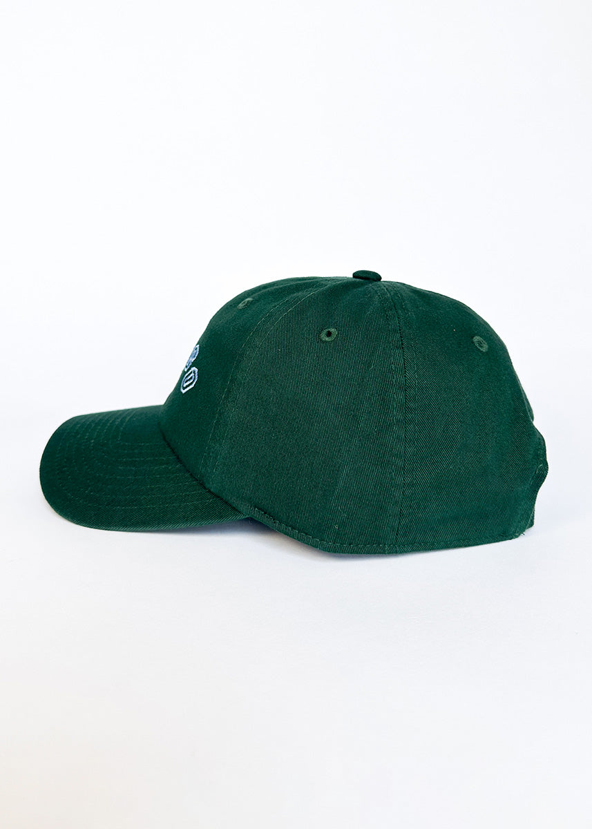 Chicago Arch Dad Hat - Green & Blue