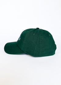 Chicago Arch Dad Hat - Green & Blue