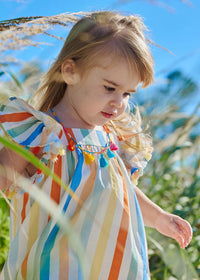 Woven Flutter Sleeve Dress - Multi Stripe