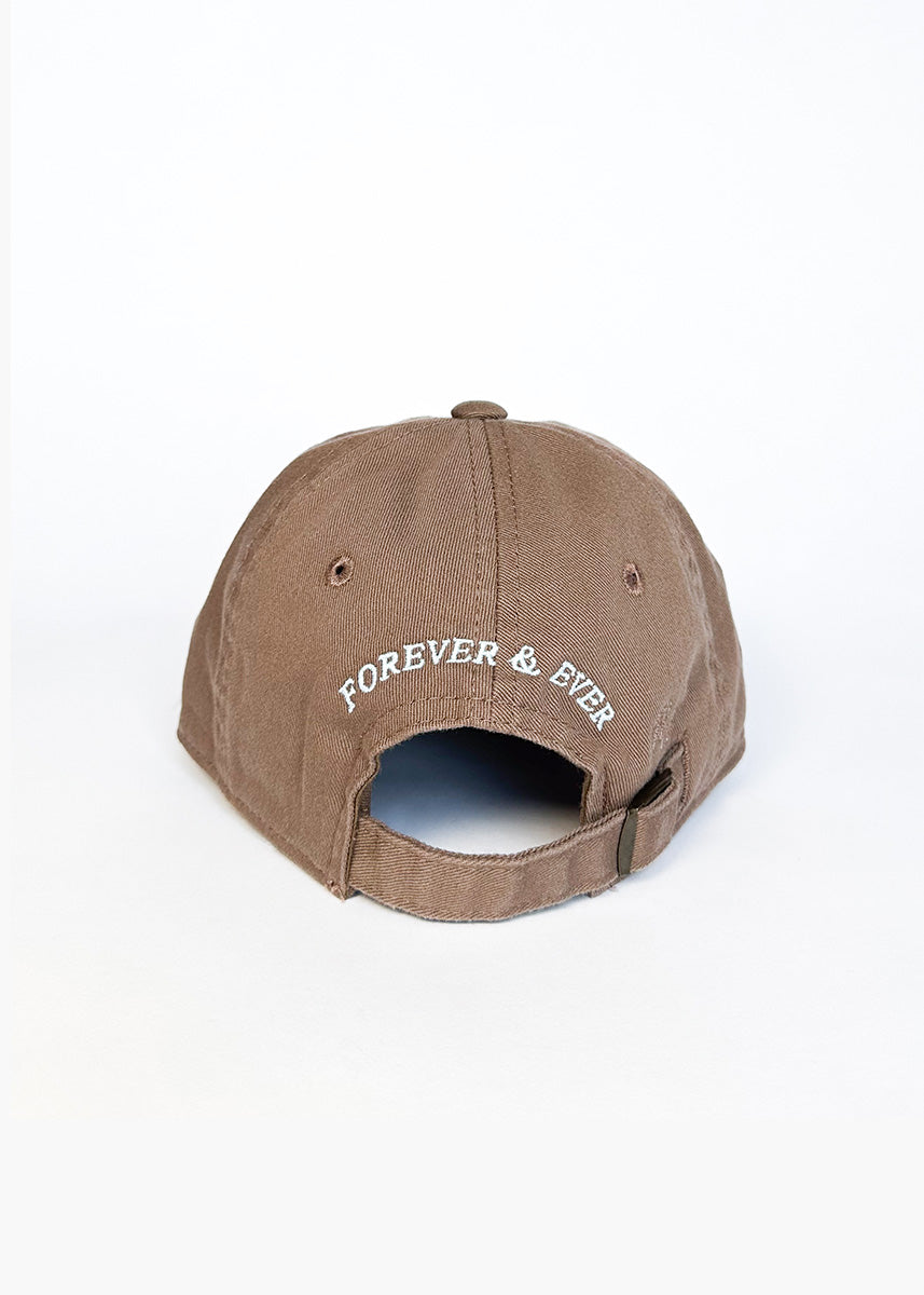 Toddler Chicago. Dad Hat - Espresso & Blue