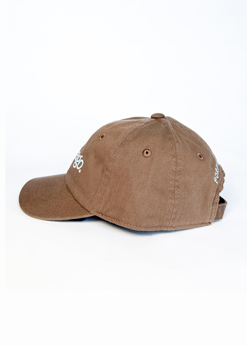 Toddler Chicago. Dad Hat - Espresso & Blue