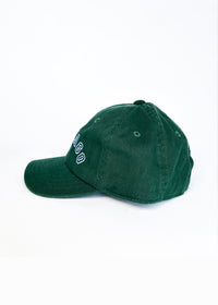 Toddler Chicago Arch Dad Hat - Green & Blue