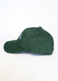 Youth Chicago Arch Dad Hat - Green & Blue