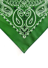 Embroidered Bandana - Hunter Paisley