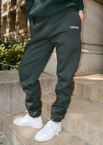 Chicago. Embroidered Jogger - Pine & Pink