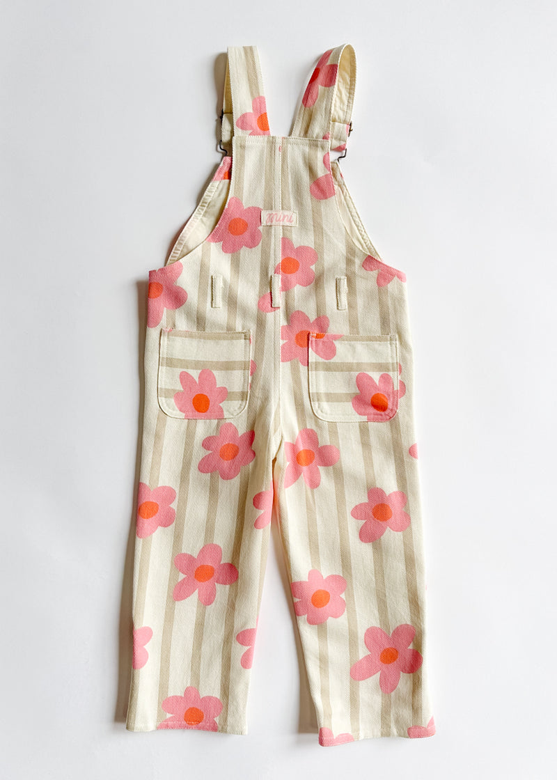 Striped Floral Overalls