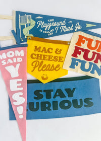 The Playground is Calling Pennant