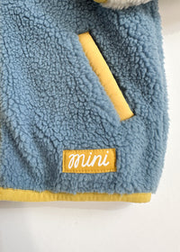 Colorblock Fleece Jacket - Blue & Green