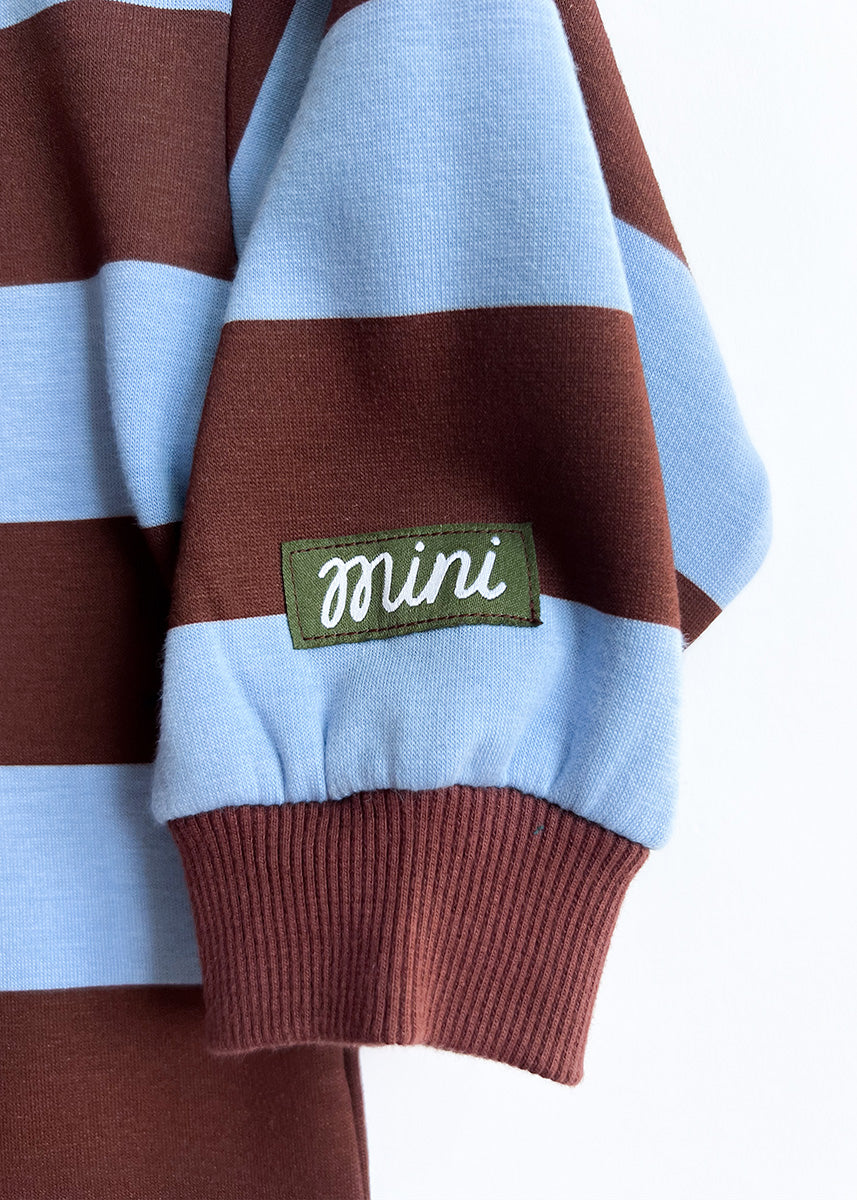 Striped Sweatshirt - Light Blue & Brown