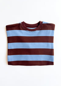 Striped Sweatshirt - Light Blue & Brown