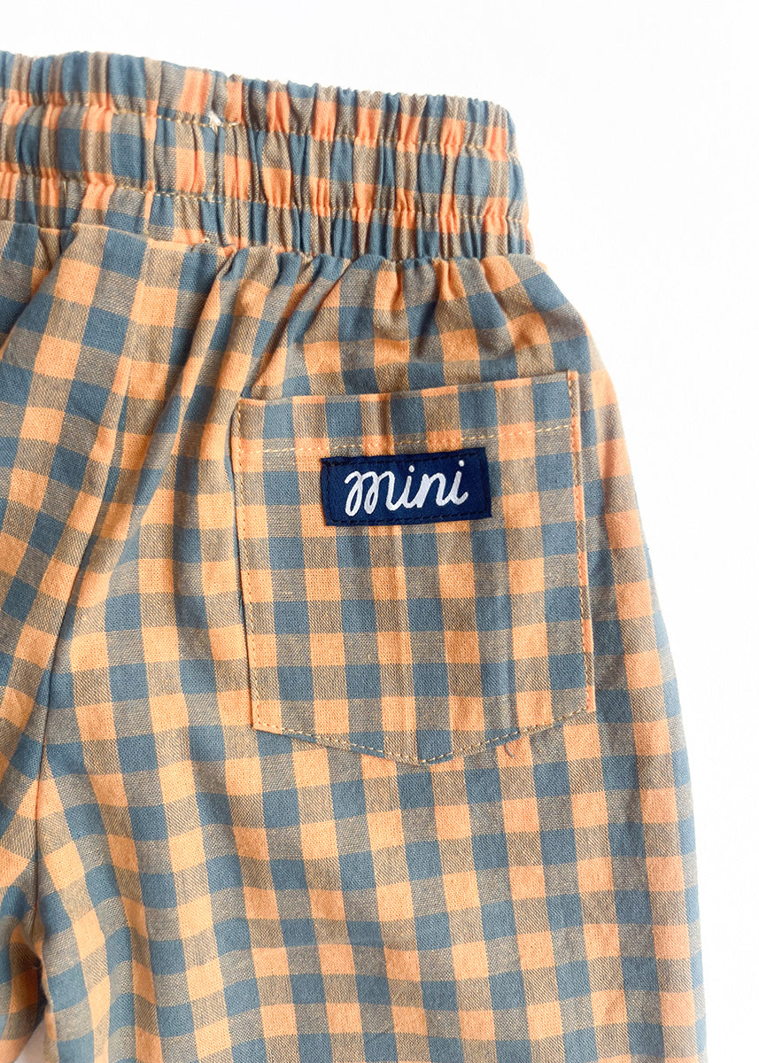 Gingham Stripe Pant - Blue & Orange