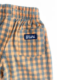 Gingham Stripe Pant - Blue & Orange