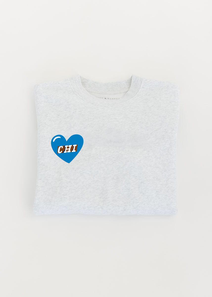 Pre-Order: Lurie Children's Hospital Patches Crewneck - Ash Grey